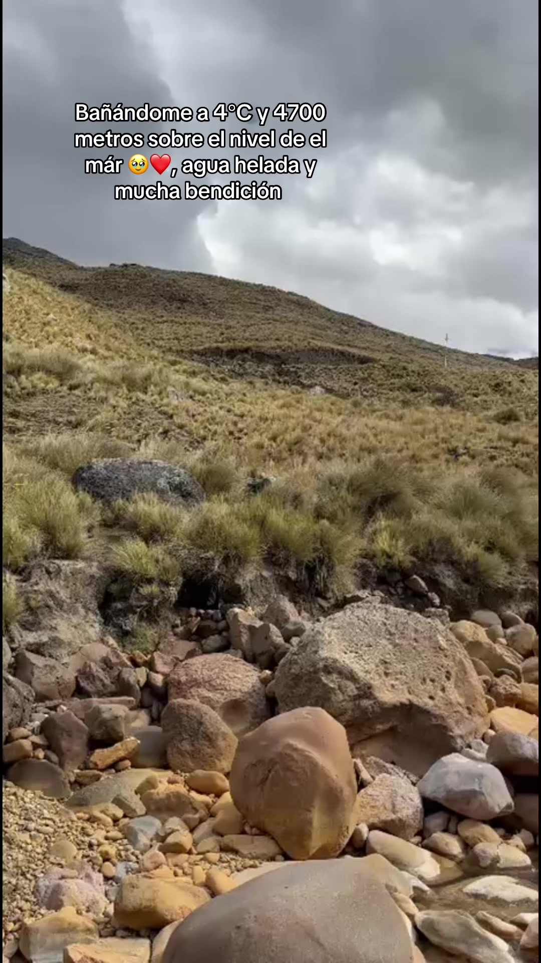 @ℬ𝓪𝒹𝒢𝒾𝓇𝓁 🎀🩷.