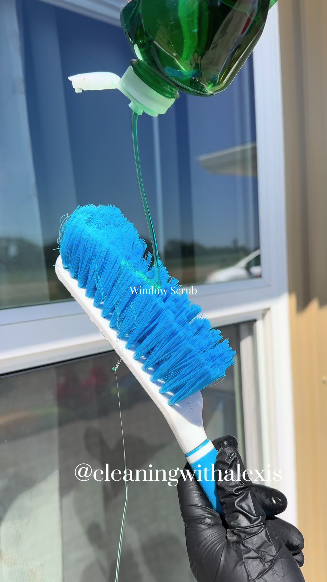 @AlexisCleanASMR