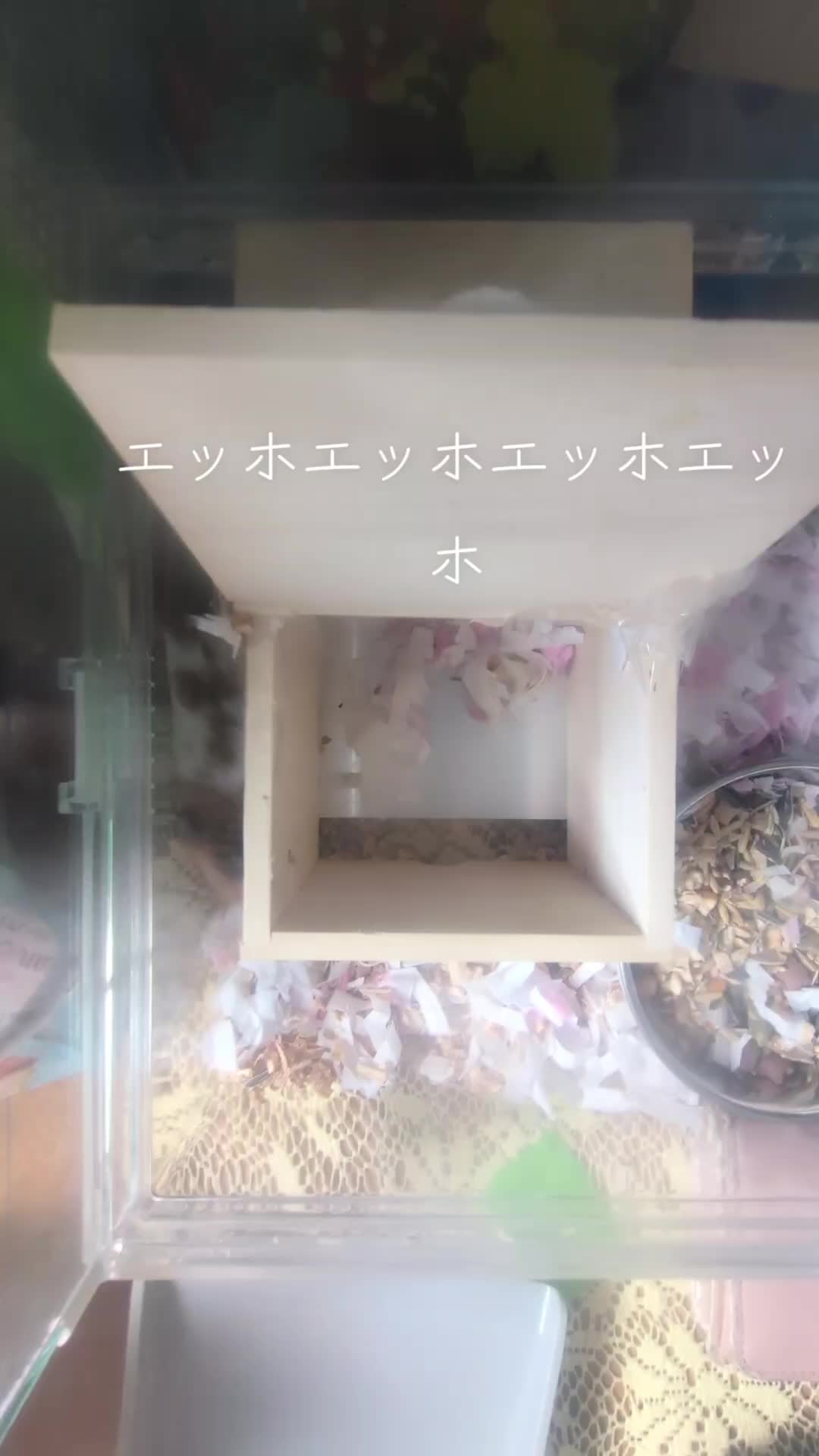 @๐นใใใก๐น