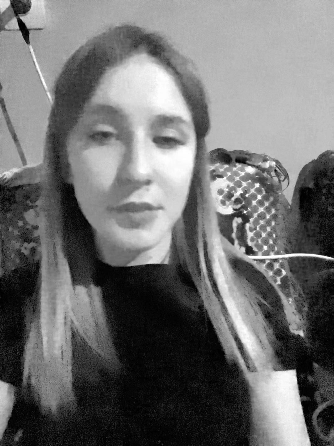 @sashwq