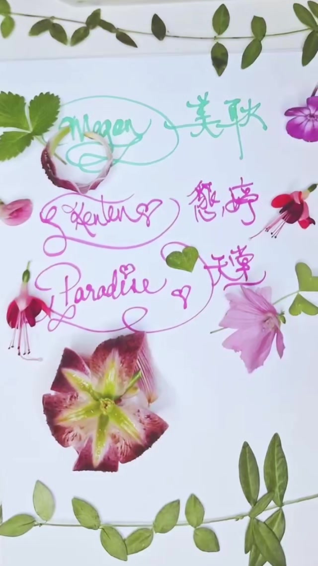@Meditativeink