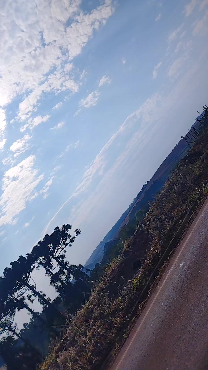 @Silvia Costa
