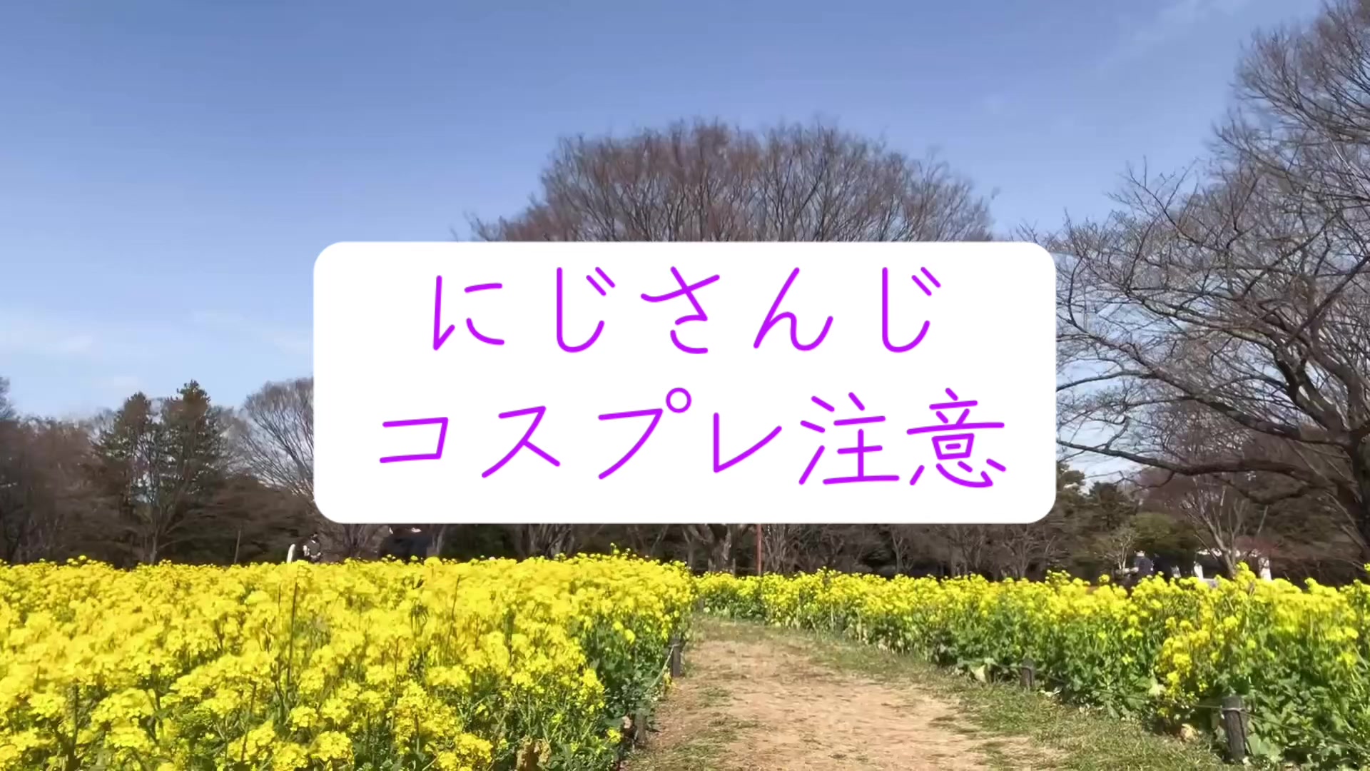 @南瀬莉音(りおん)