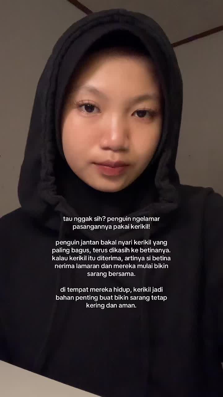 @inimellow || funfacts