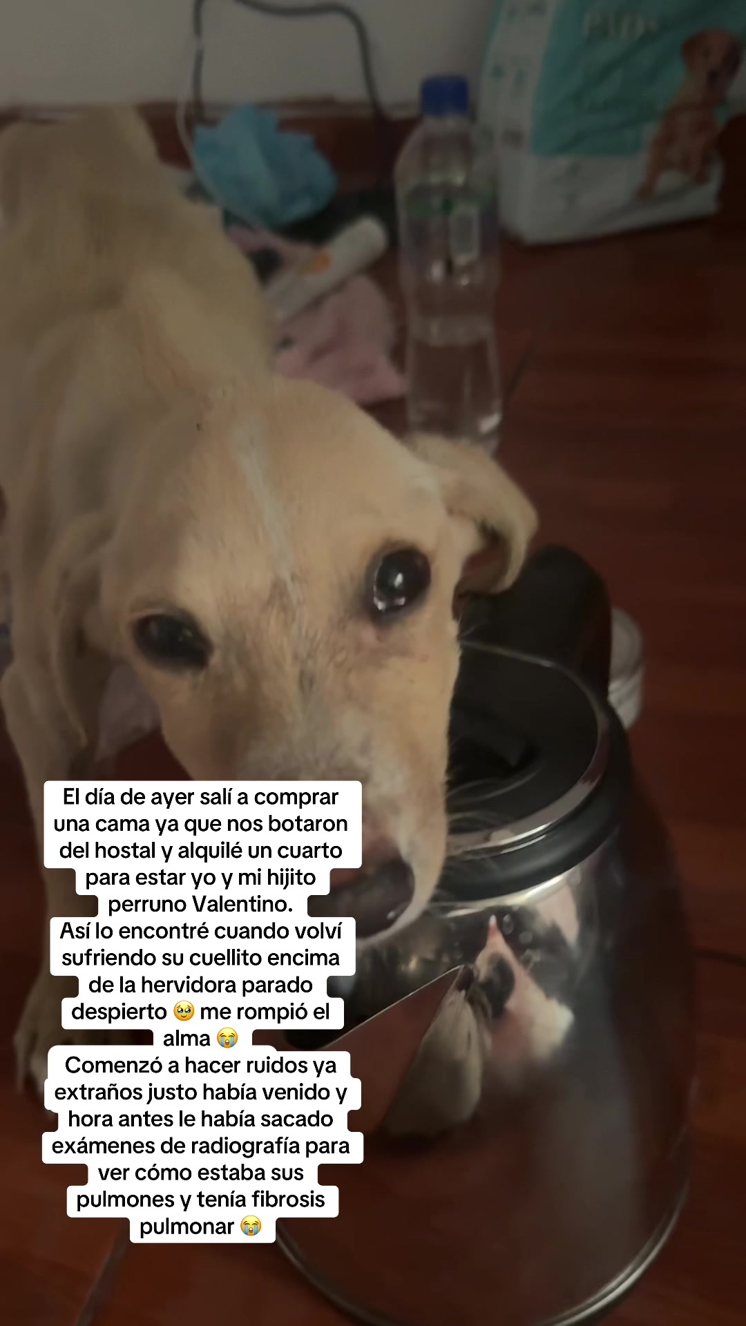 @GERSON EL&Iacute;AS