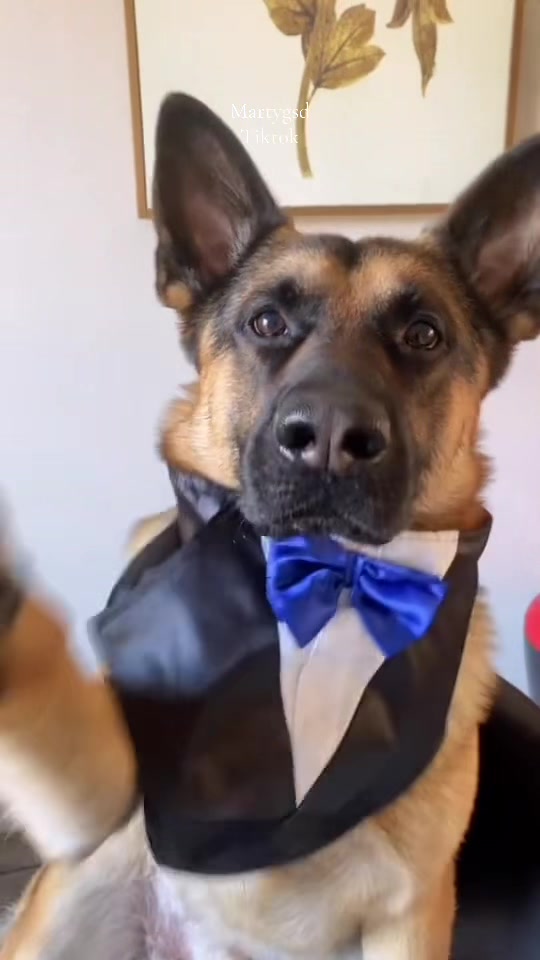 @Martygsd