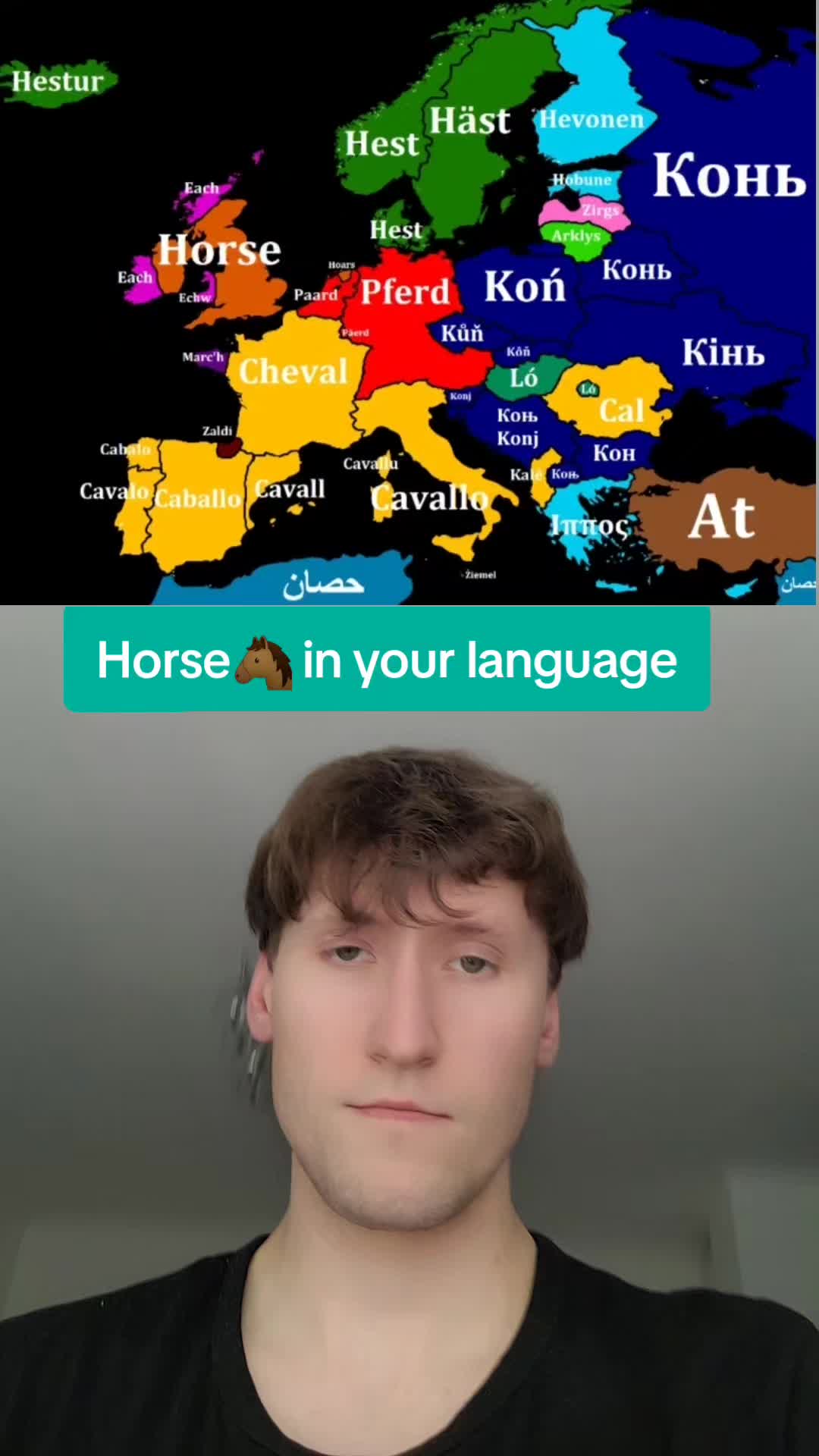 @Andreas Bro!!!🇵🇱