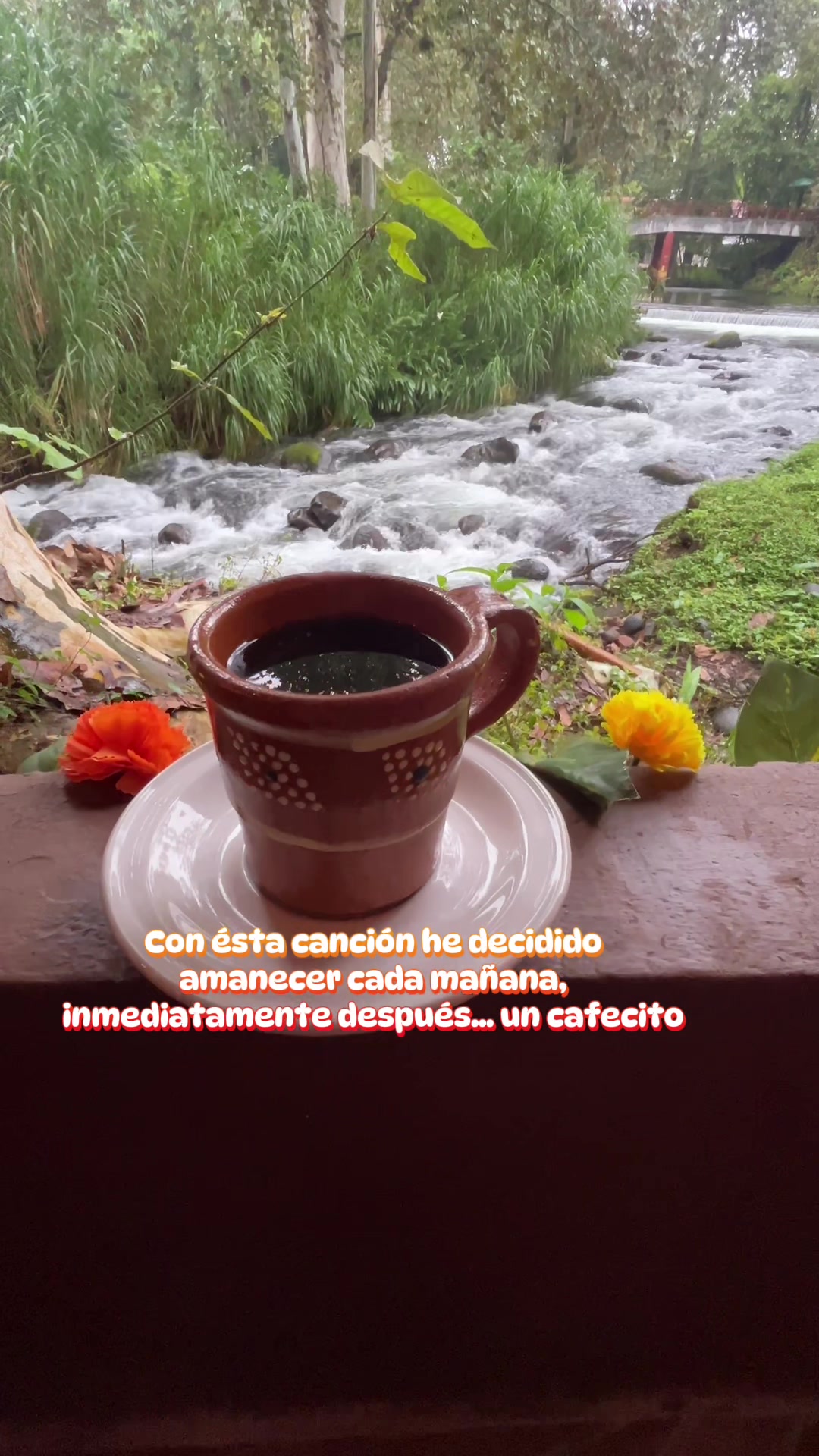 @veracruzmarysol