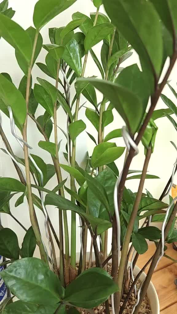 @법무사