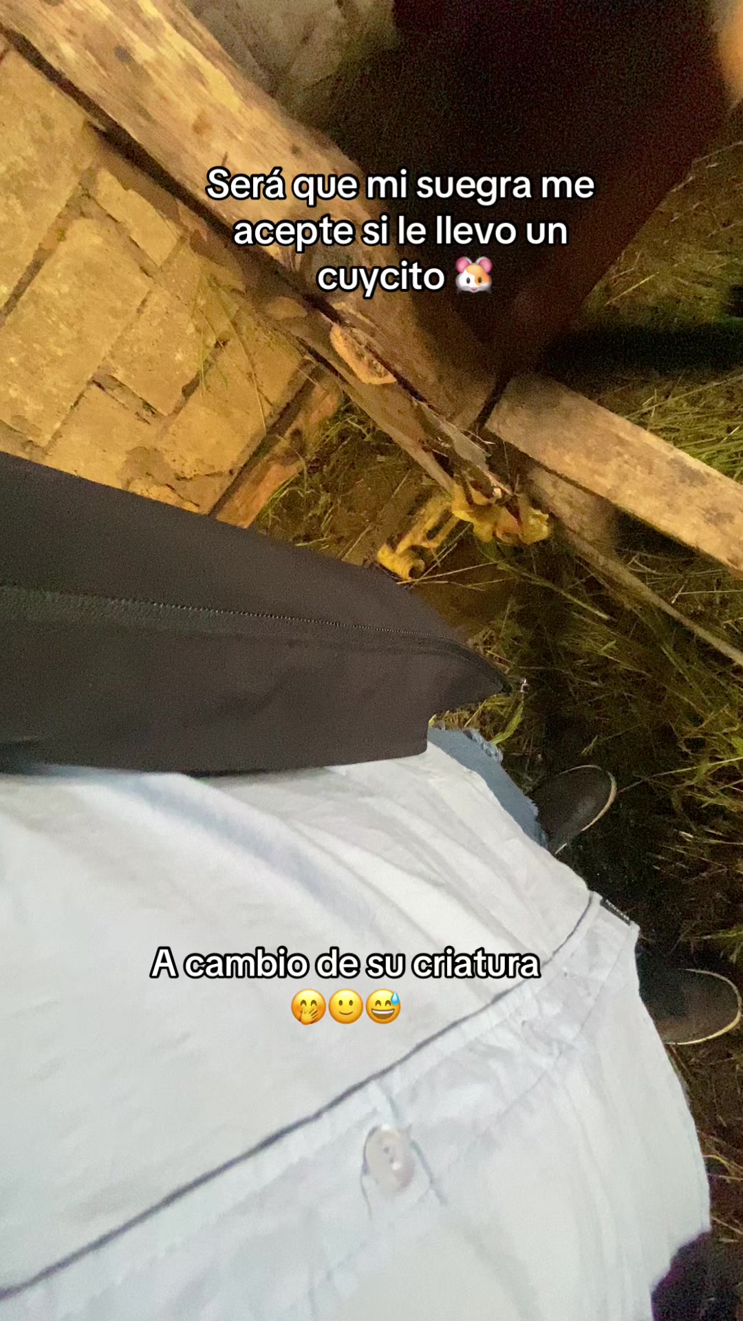 @Víctor Guamán 😎