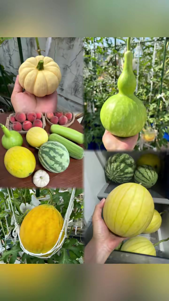 @S&igrave;yu&egrave; Finds 🛍 🍅🫐🥦🍎