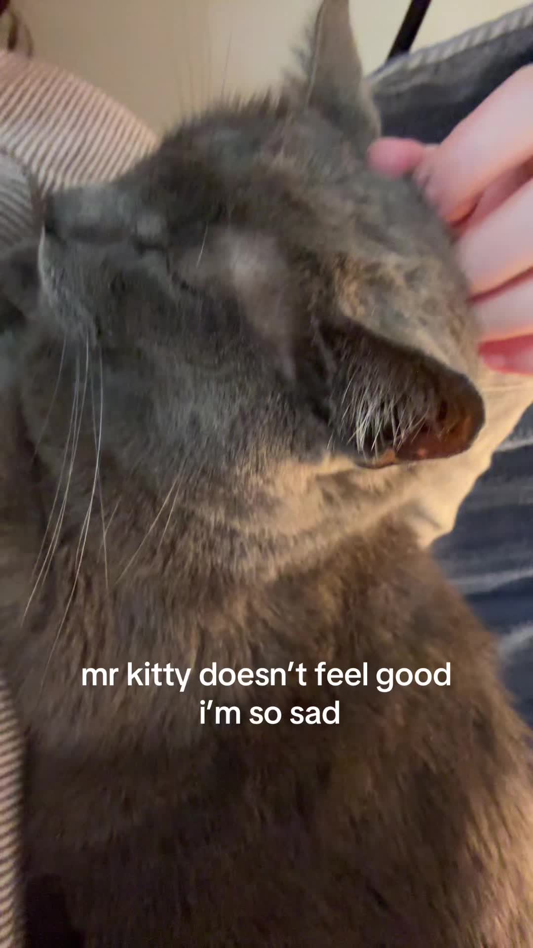 @milo
