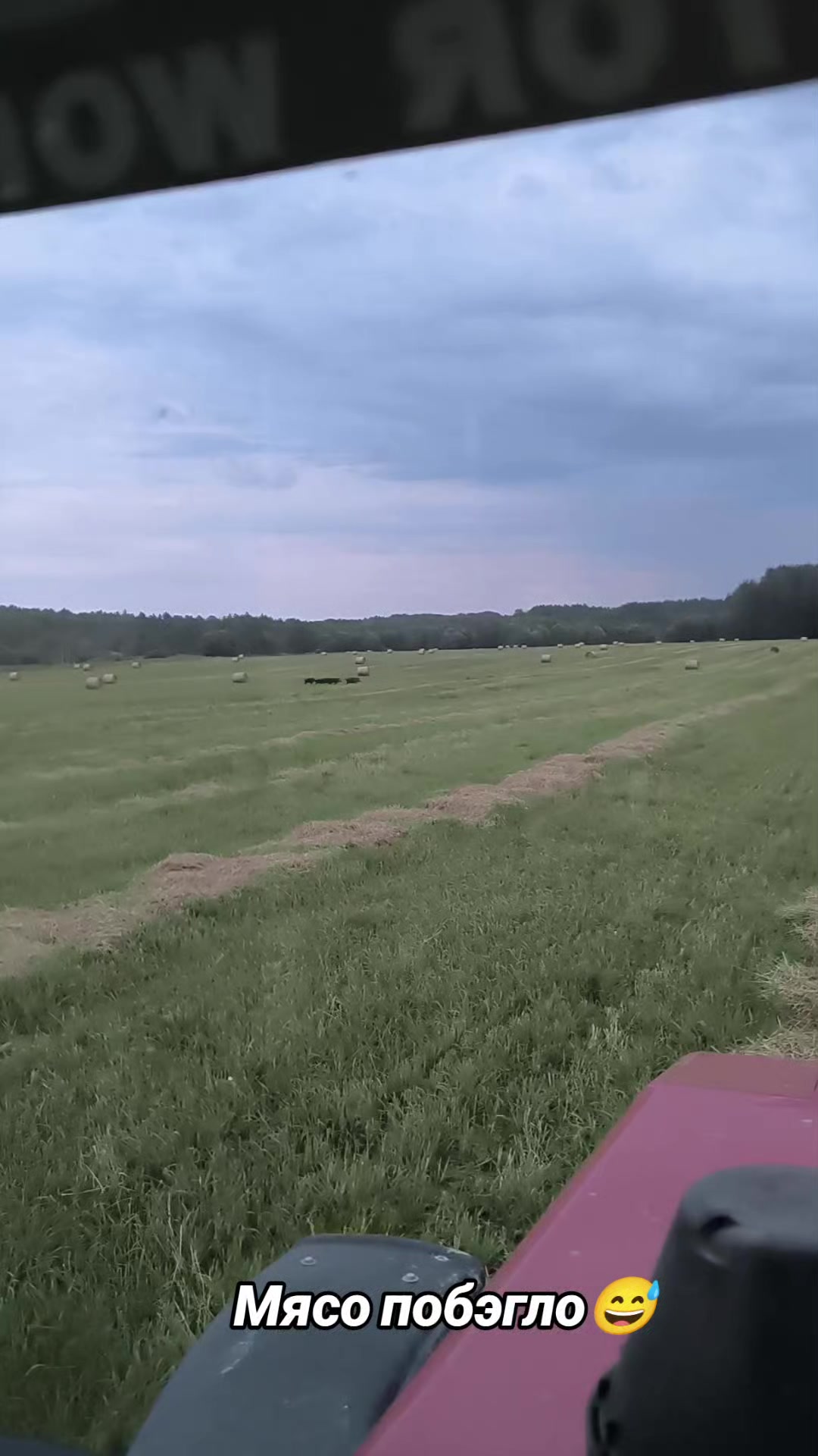 @🚜ⲇяⲇьⲕᥲ ᥲⲏⲧ𐔖ⲏ🚜