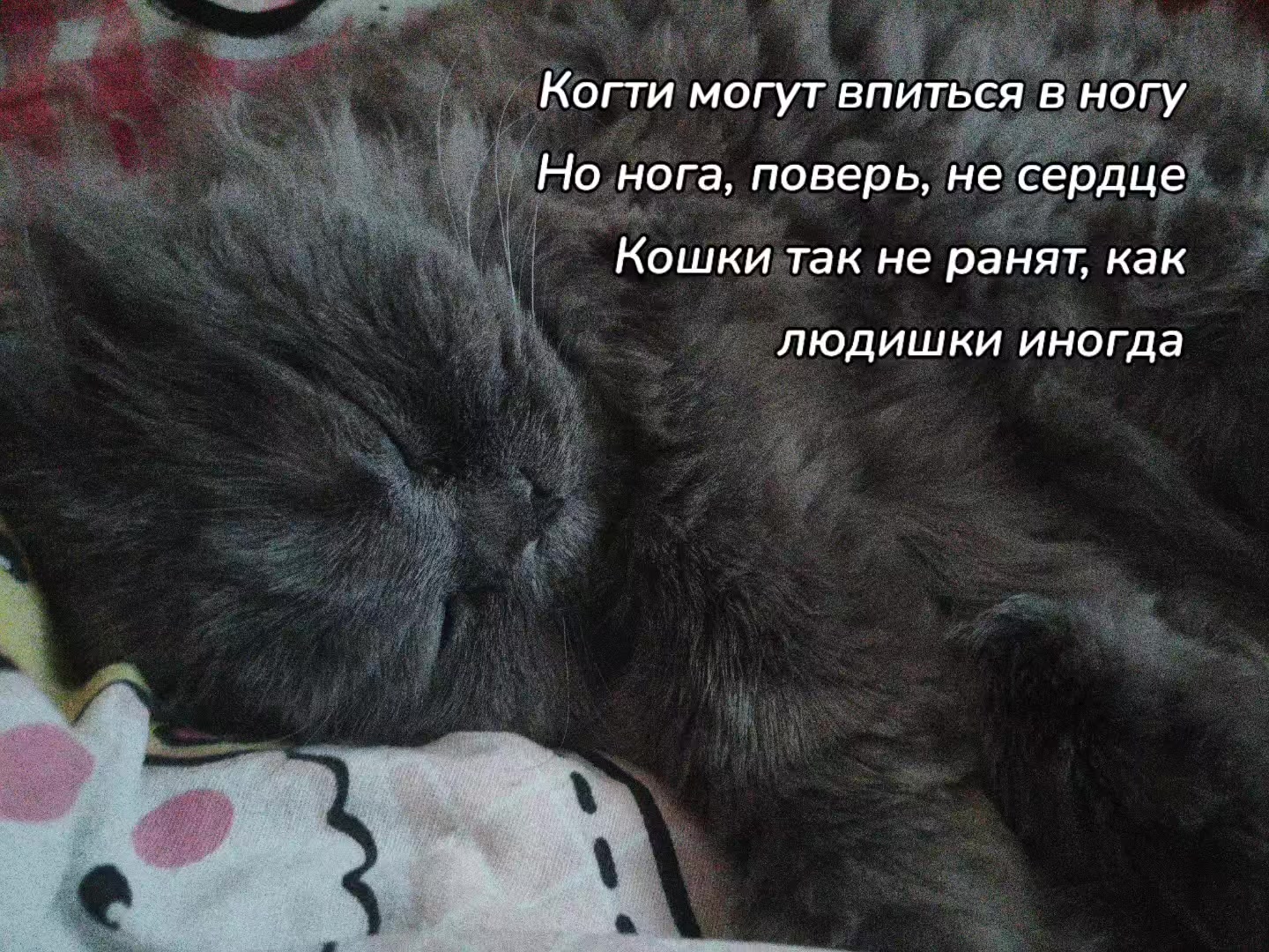 @кристина йегер