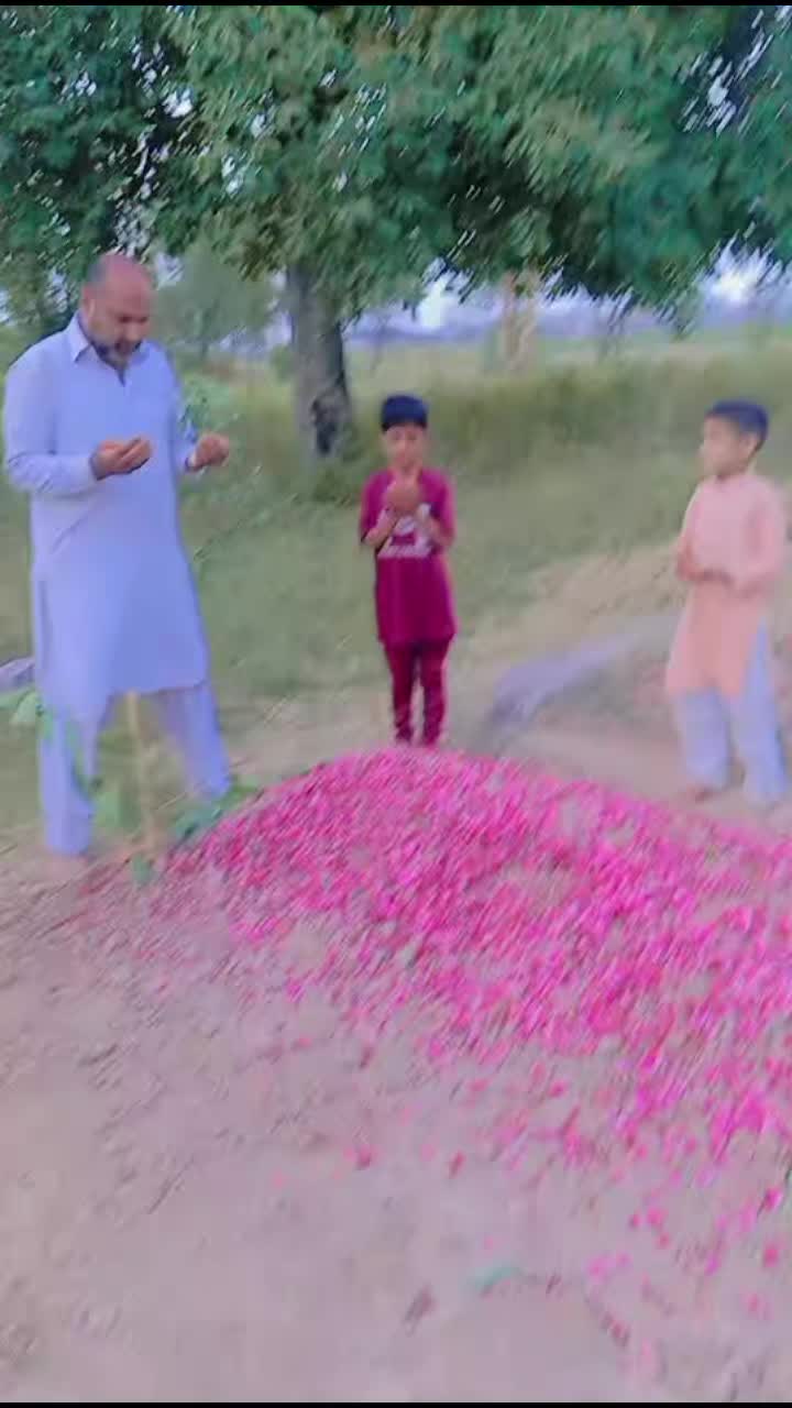 @Ⱬꭵđđ𝗂𝒓ⲁ𝗷𝐩ᵘʈ