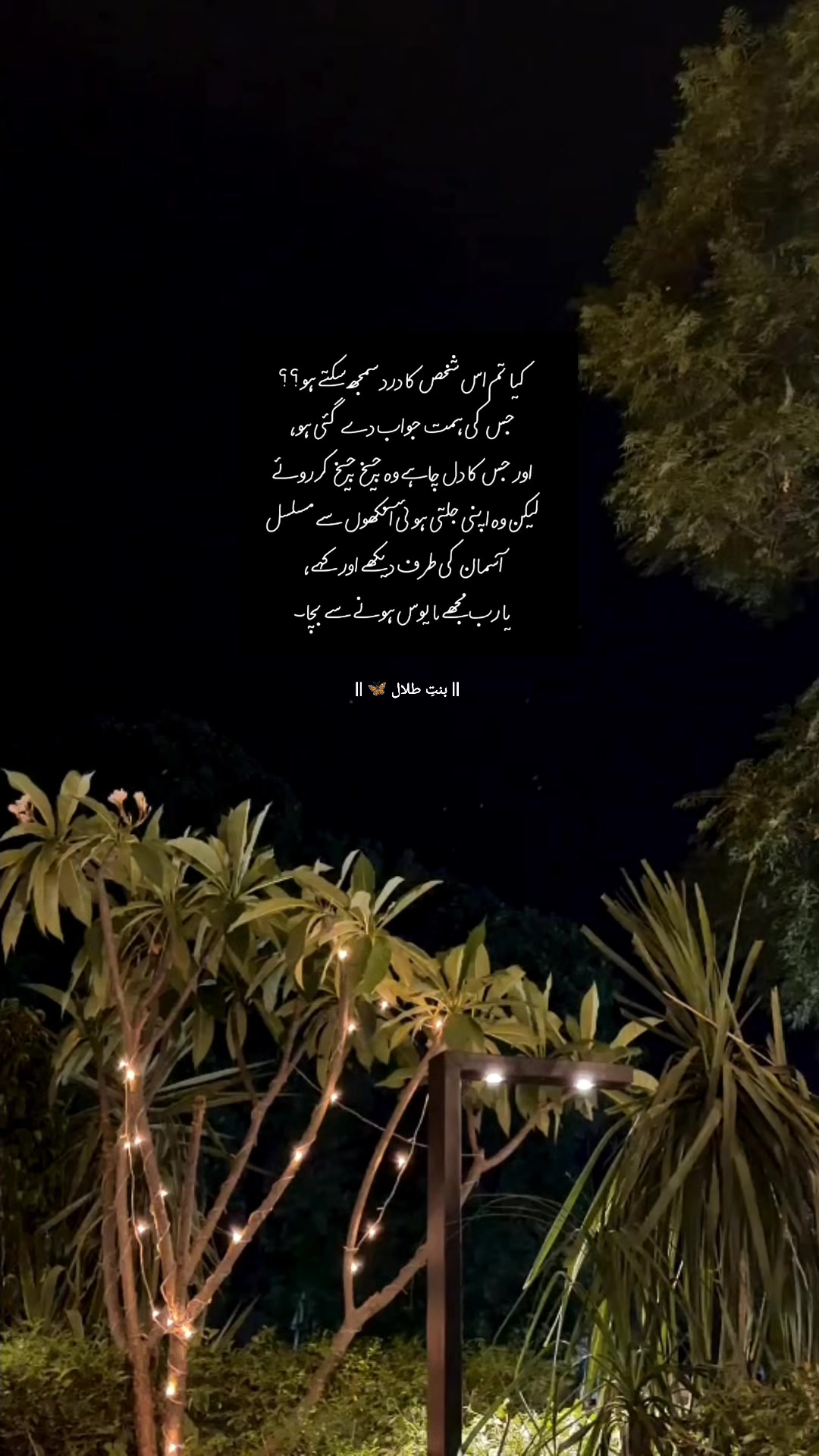 @🦋 بنتِ طلال