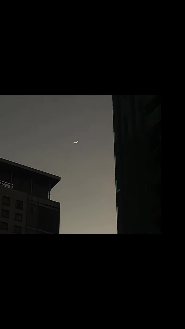 @𓆩♡𓆪