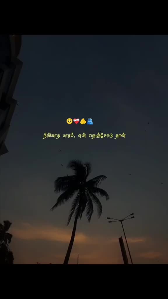 @🌻💛мαмα ρσииυ fσяєνєя🌻💛