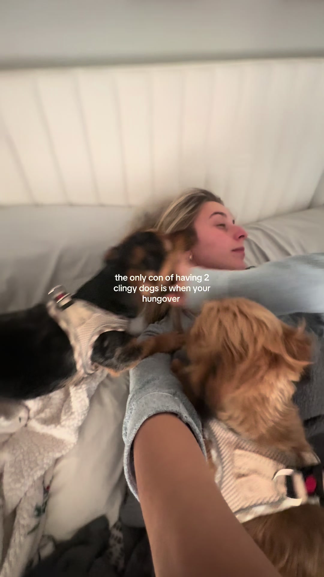 @Brandi Malvita