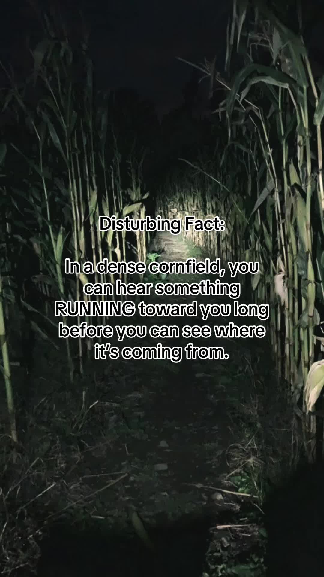 @fearforged