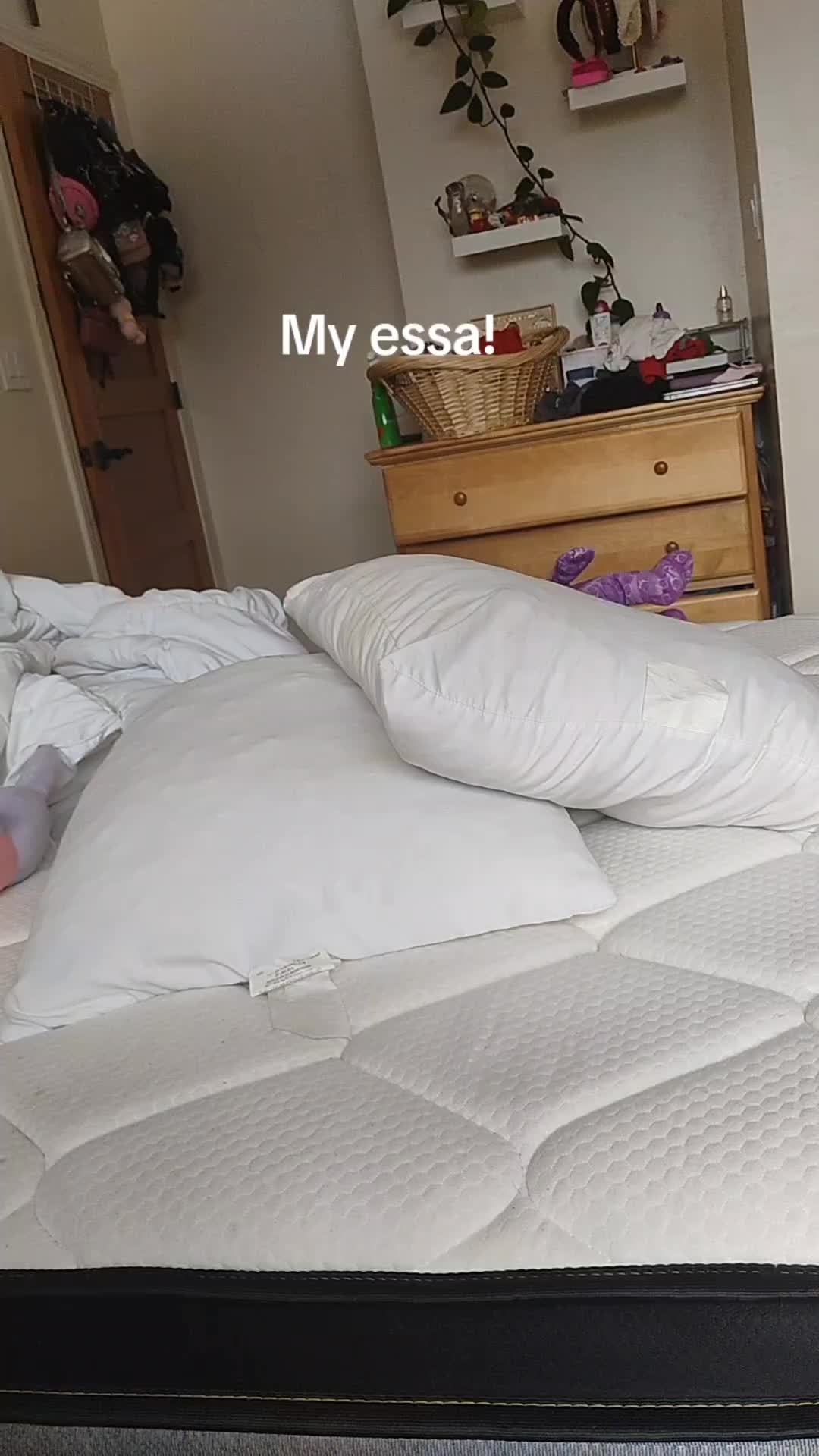 @AvaSquishy23