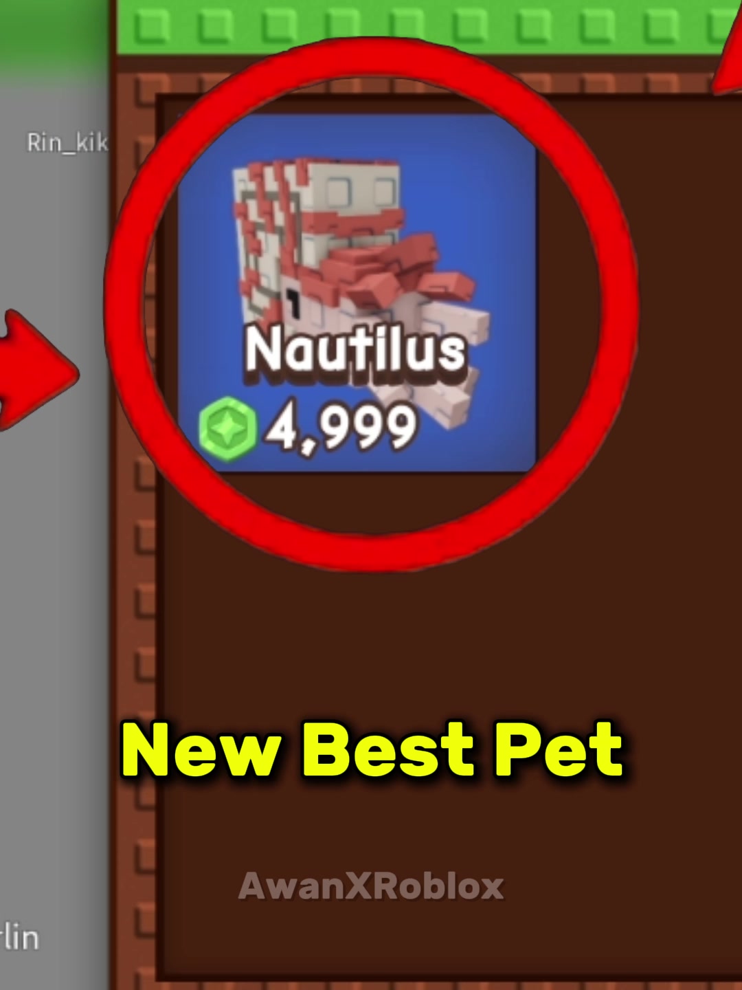 @AwanXRoblox