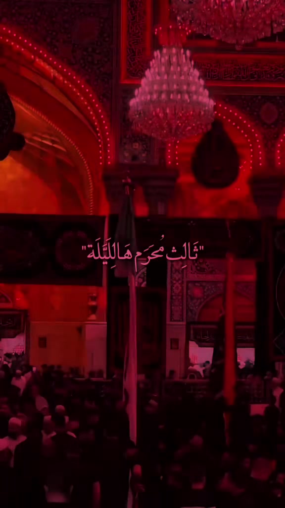 @أحمد أبو علي
