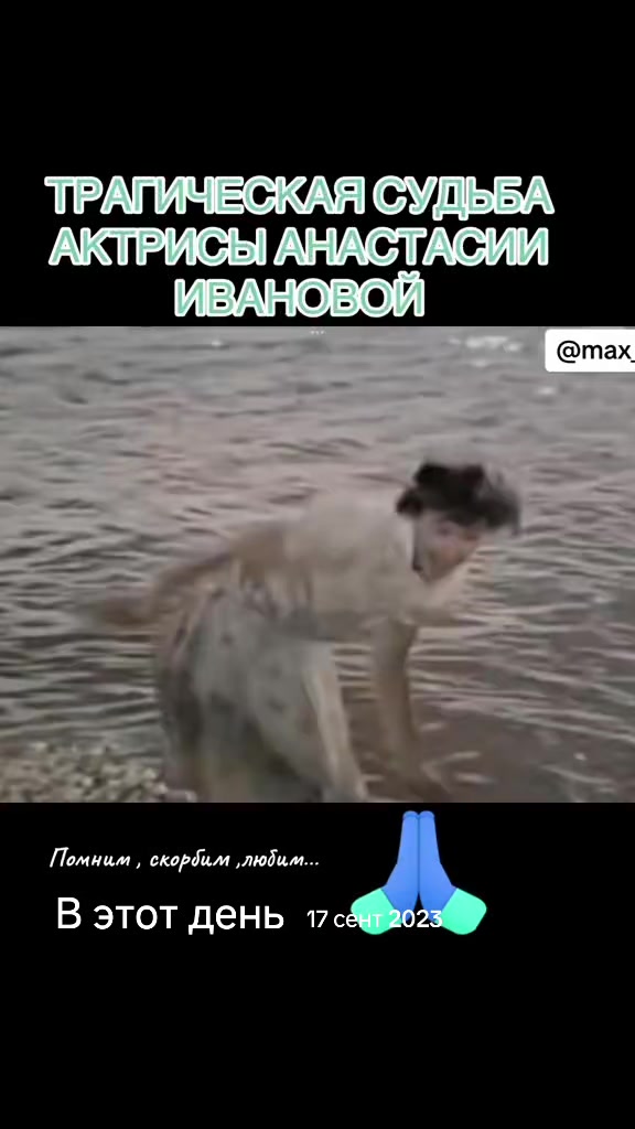 @ИНТЕРЕСНЫЕ ЭПИЗОДЫ ОТ МАКСИМА