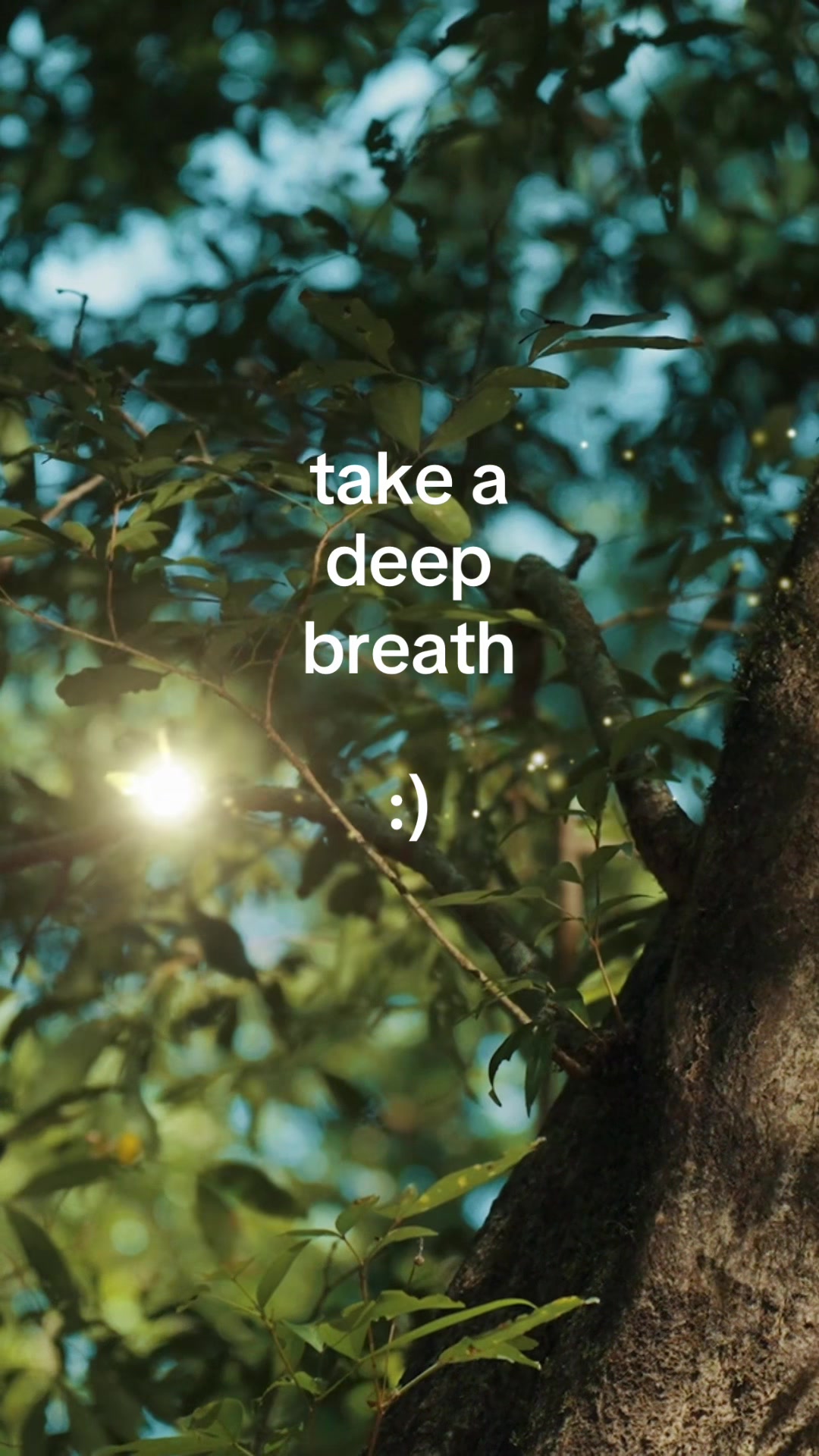 @Calm