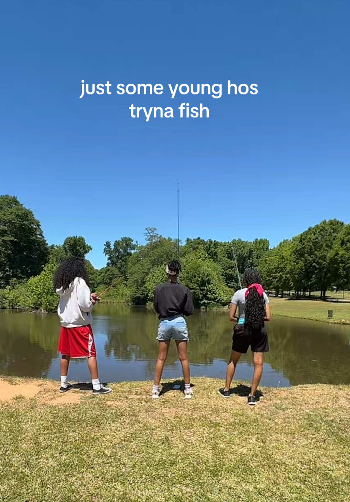 @ko . 🦋