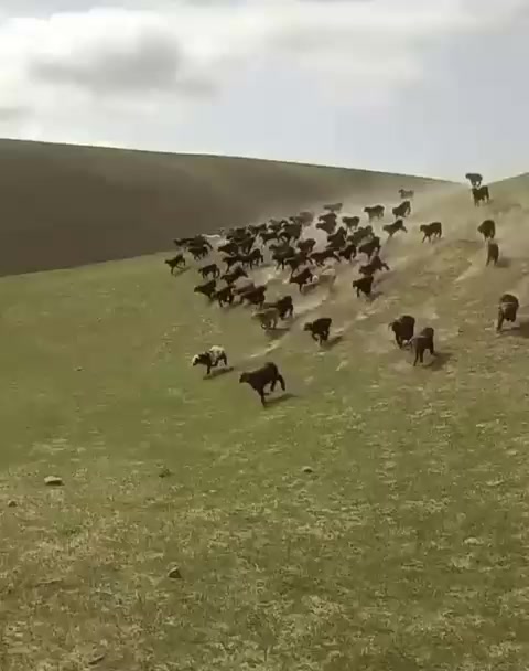 @ереке