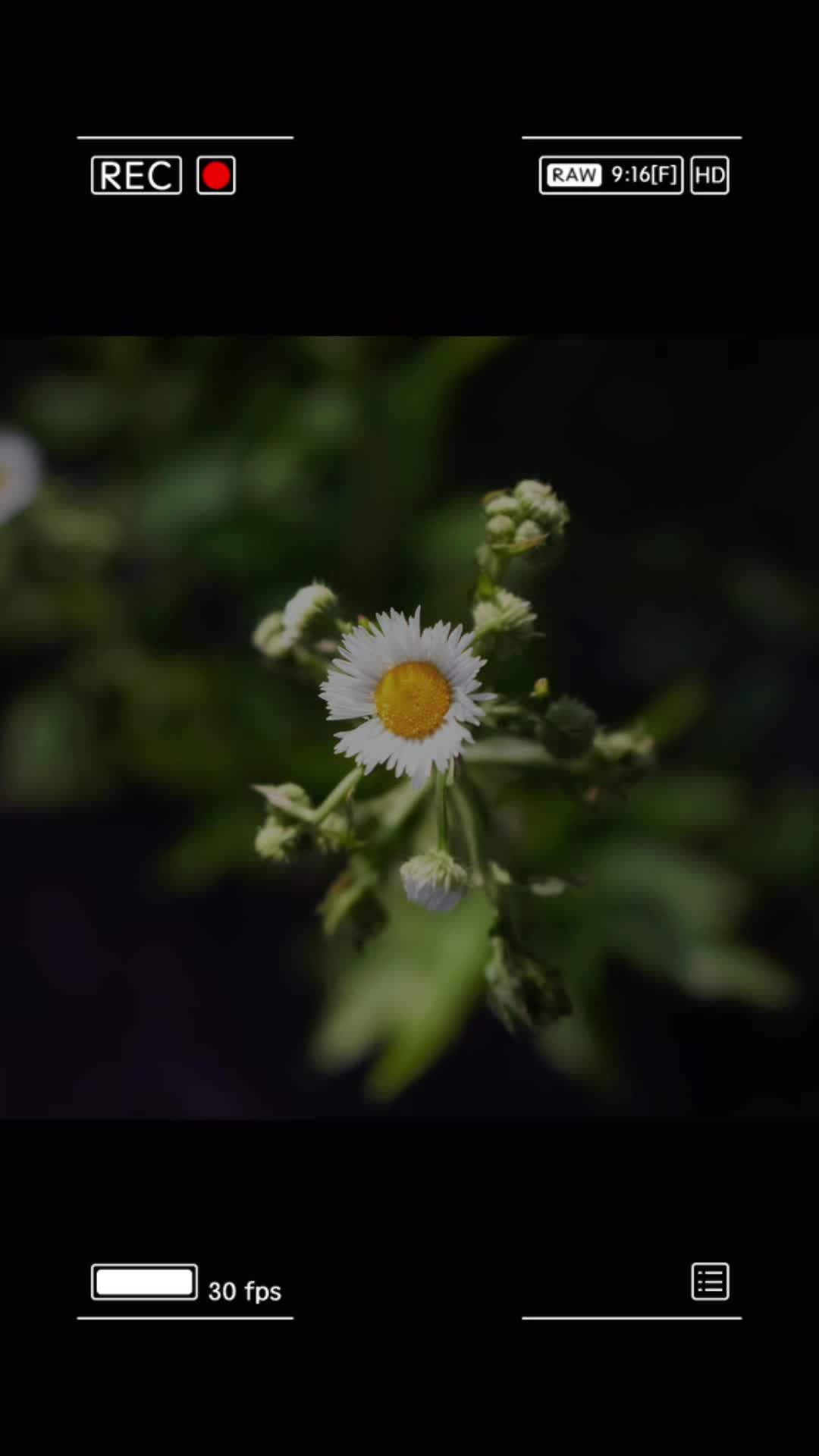 @gksl.photography