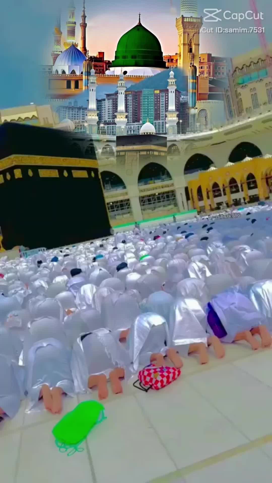 @Arfa Arfa