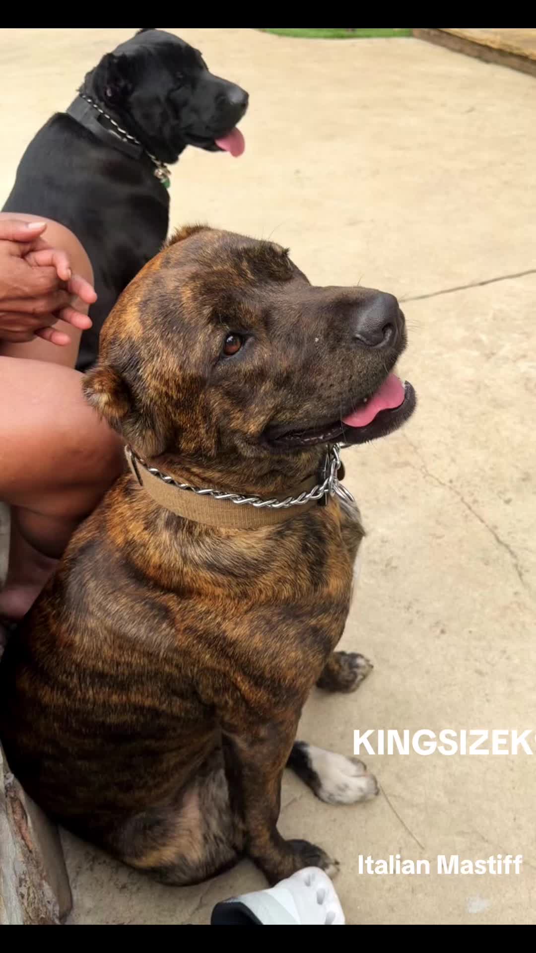 @KingCorso