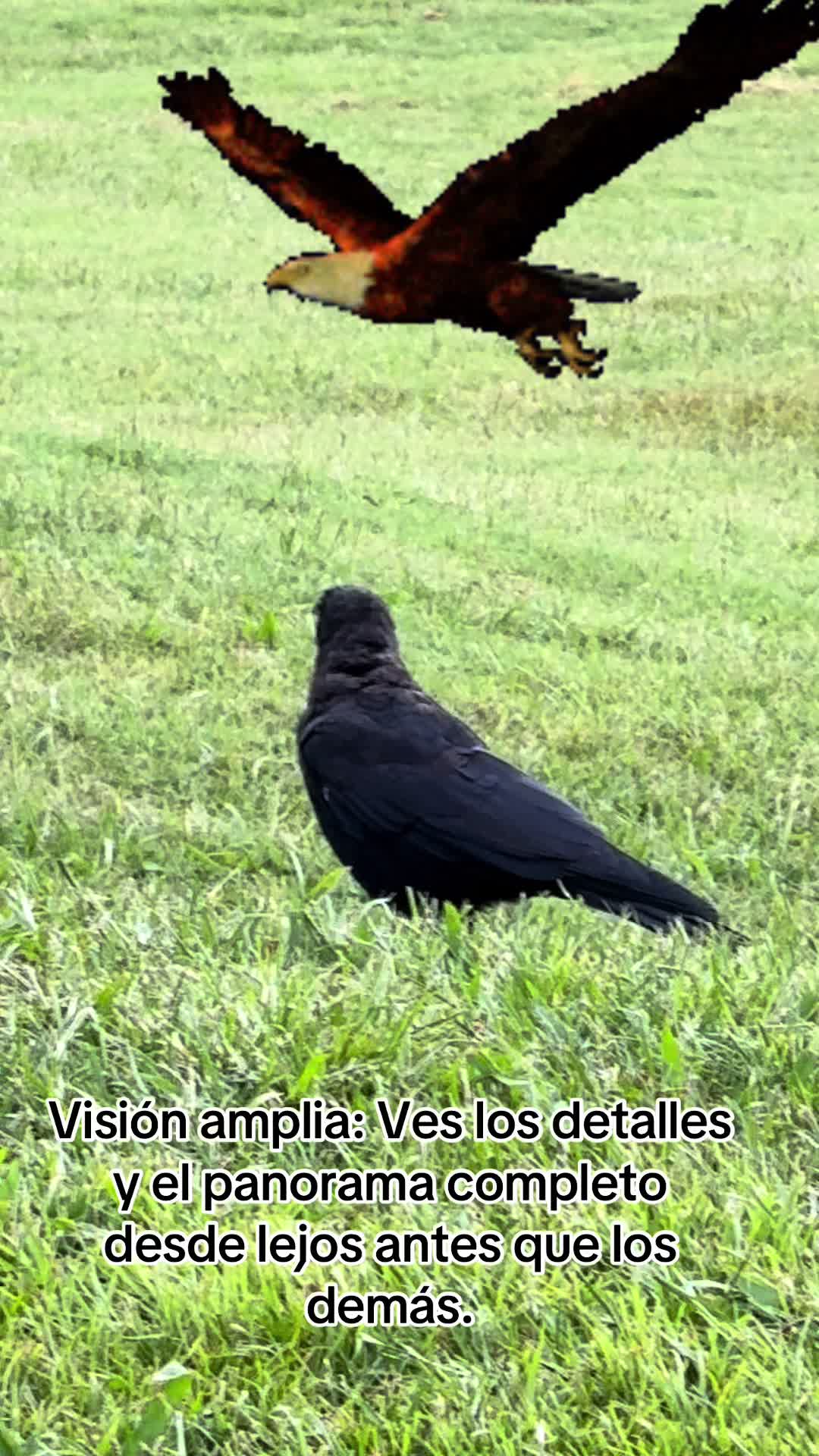 @Michoacanaallyzone