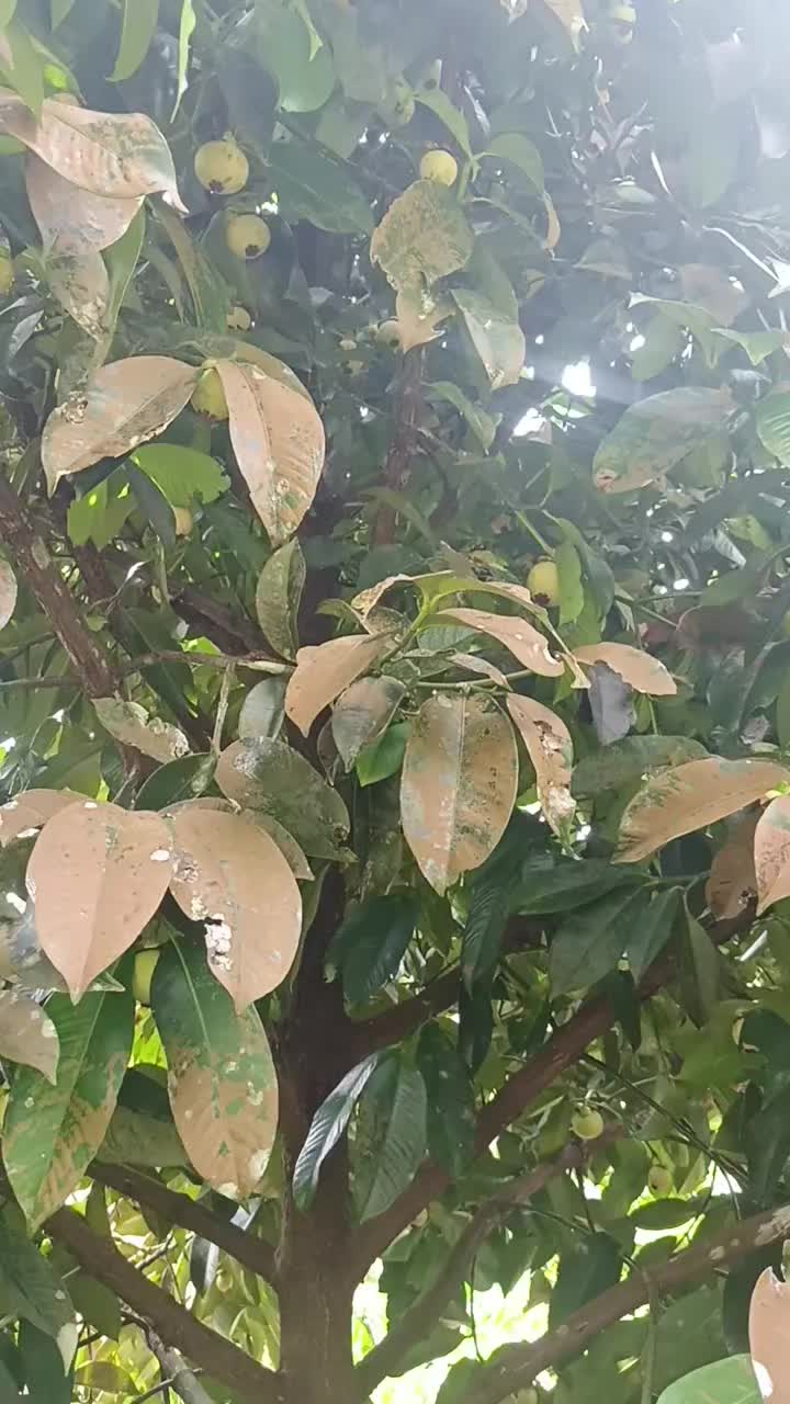 @punya cerita..