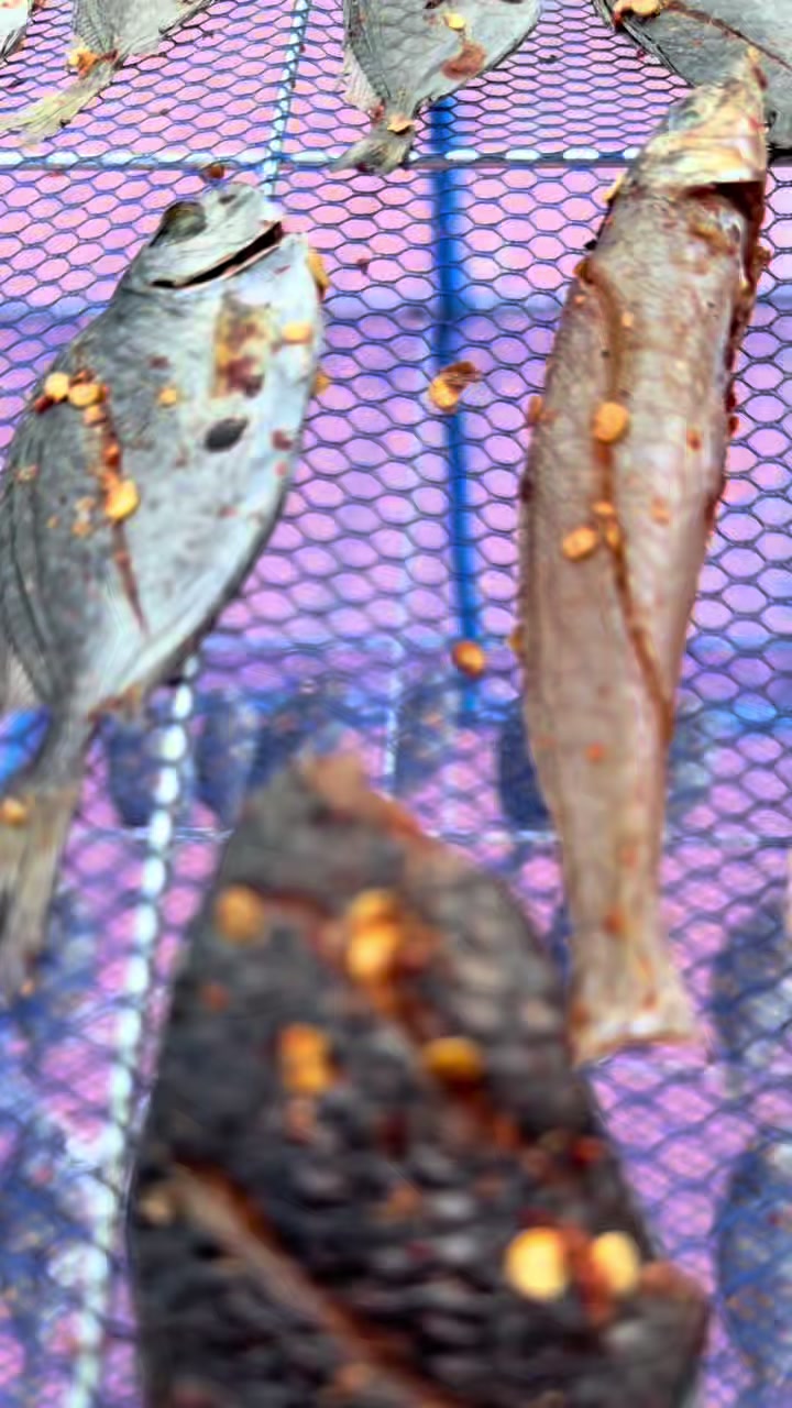 @câu cá Nha Trang