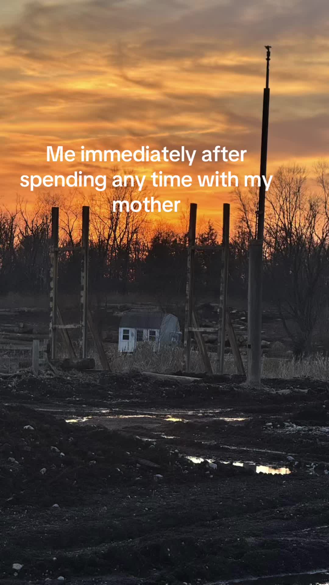 @Amanda Diemert