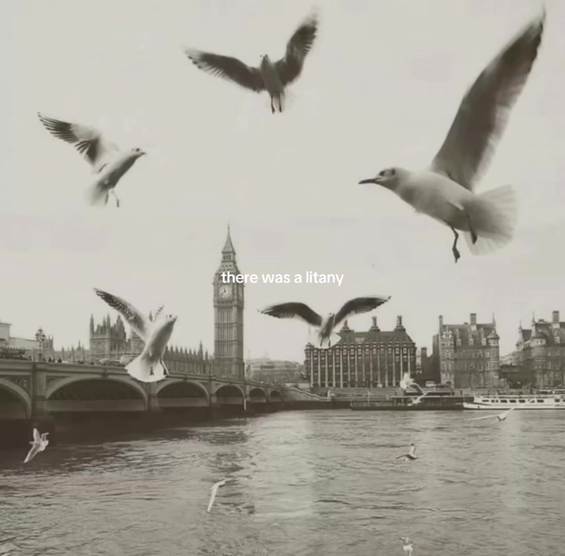 @cd 🪩💐