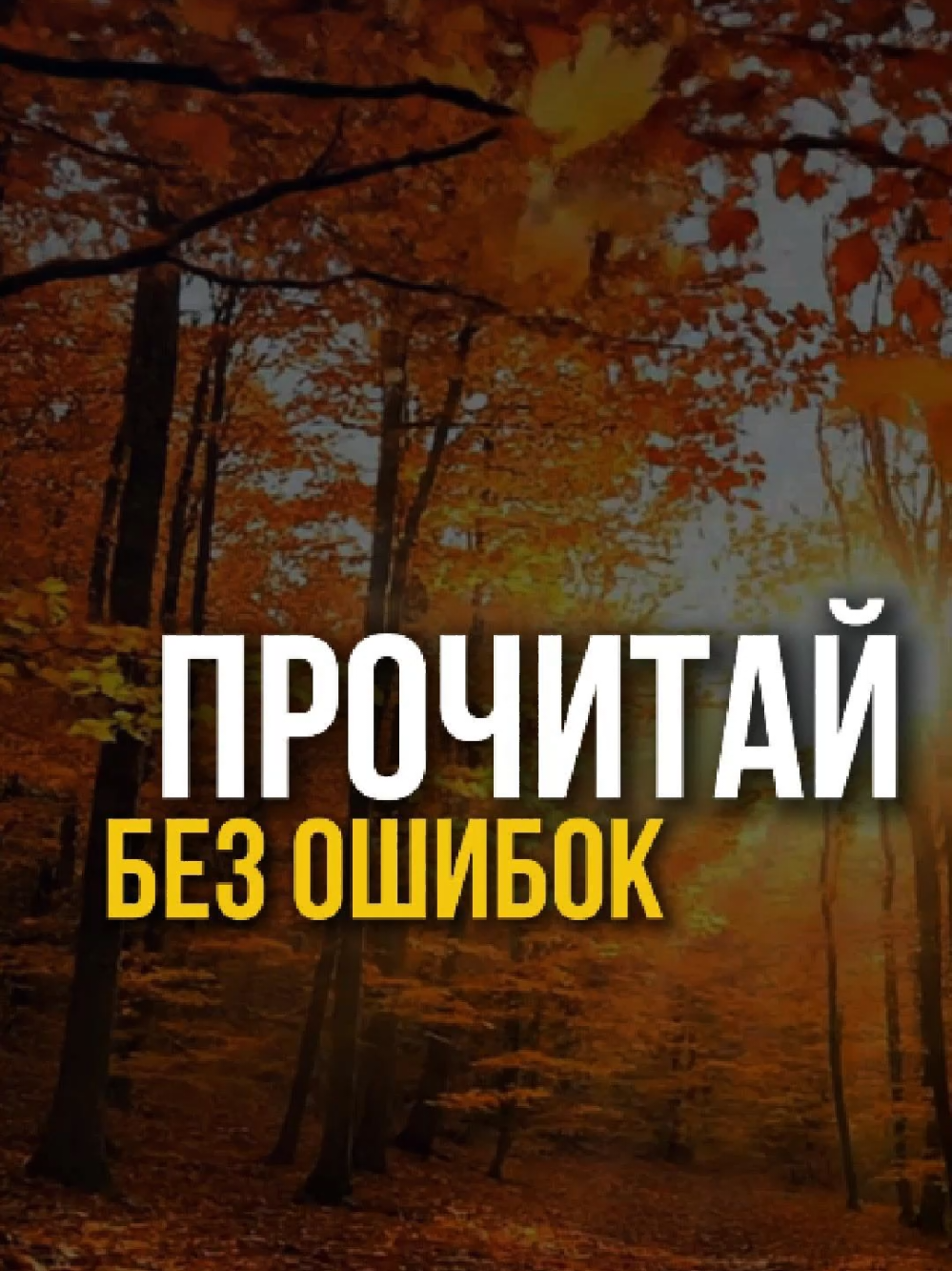 @Денис | Публичные выступления
