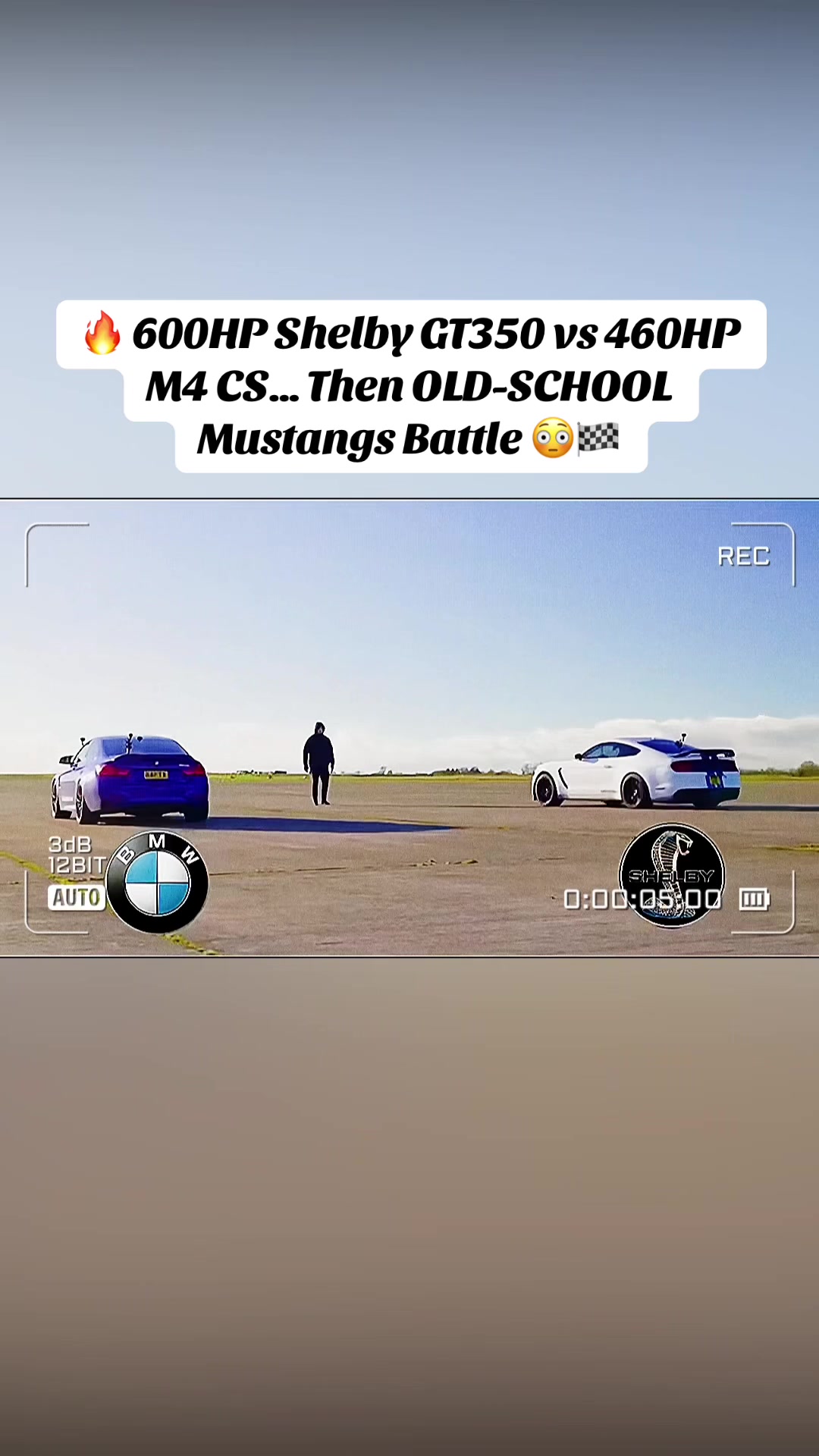 @Muscle Cars