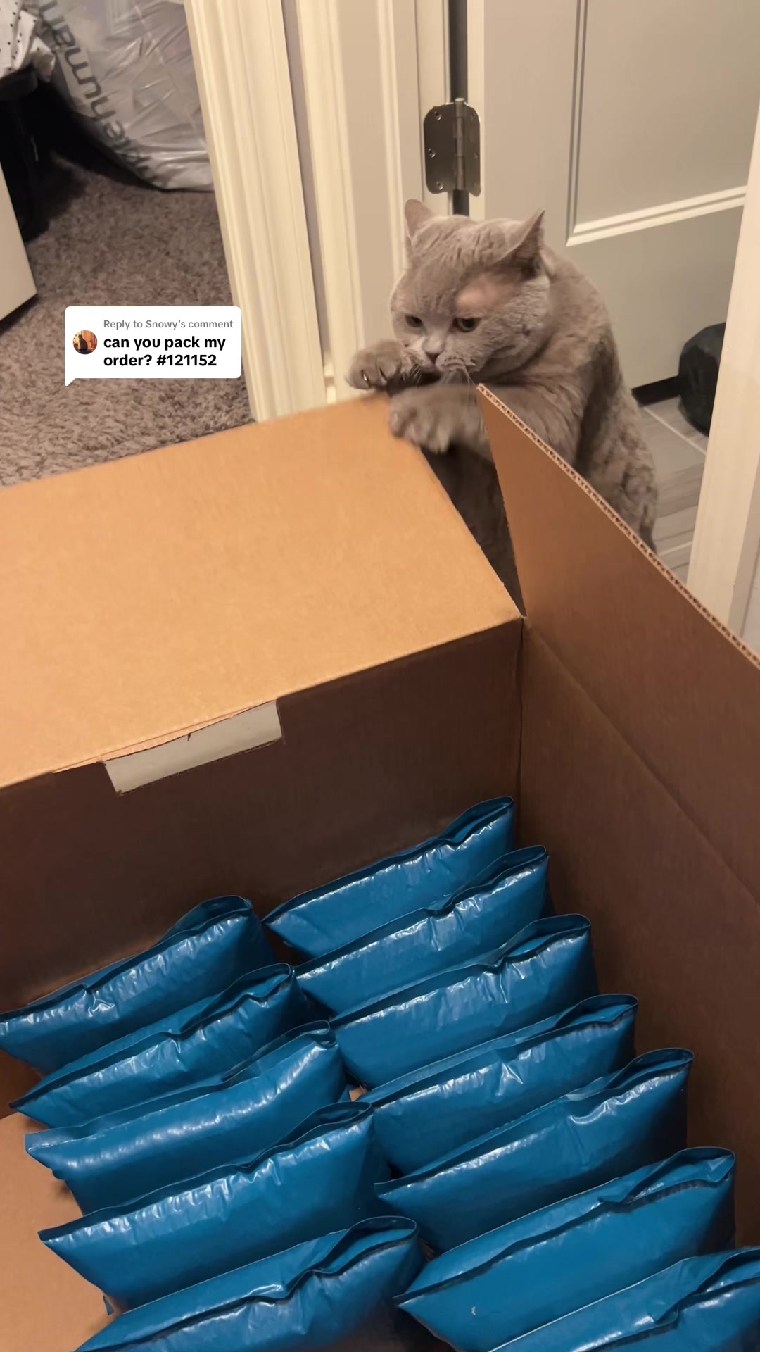 @Vcafeonlinee