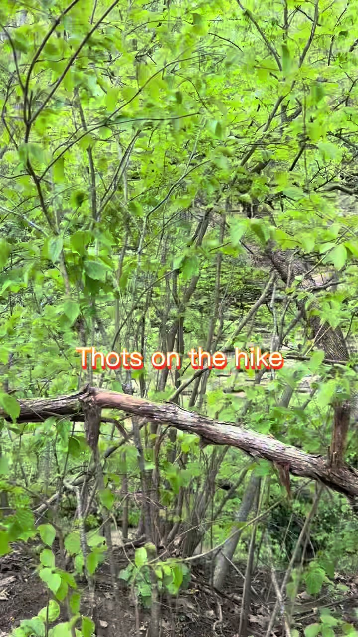 @Starved Rock State Park