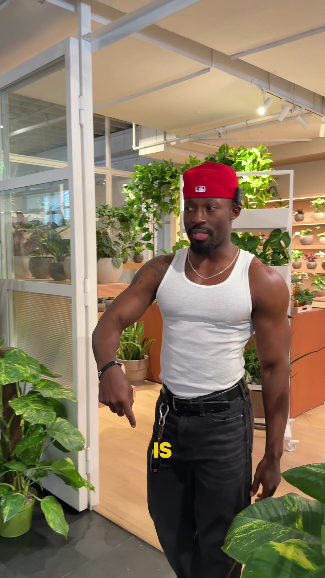 @PLANT DADDY KOSS