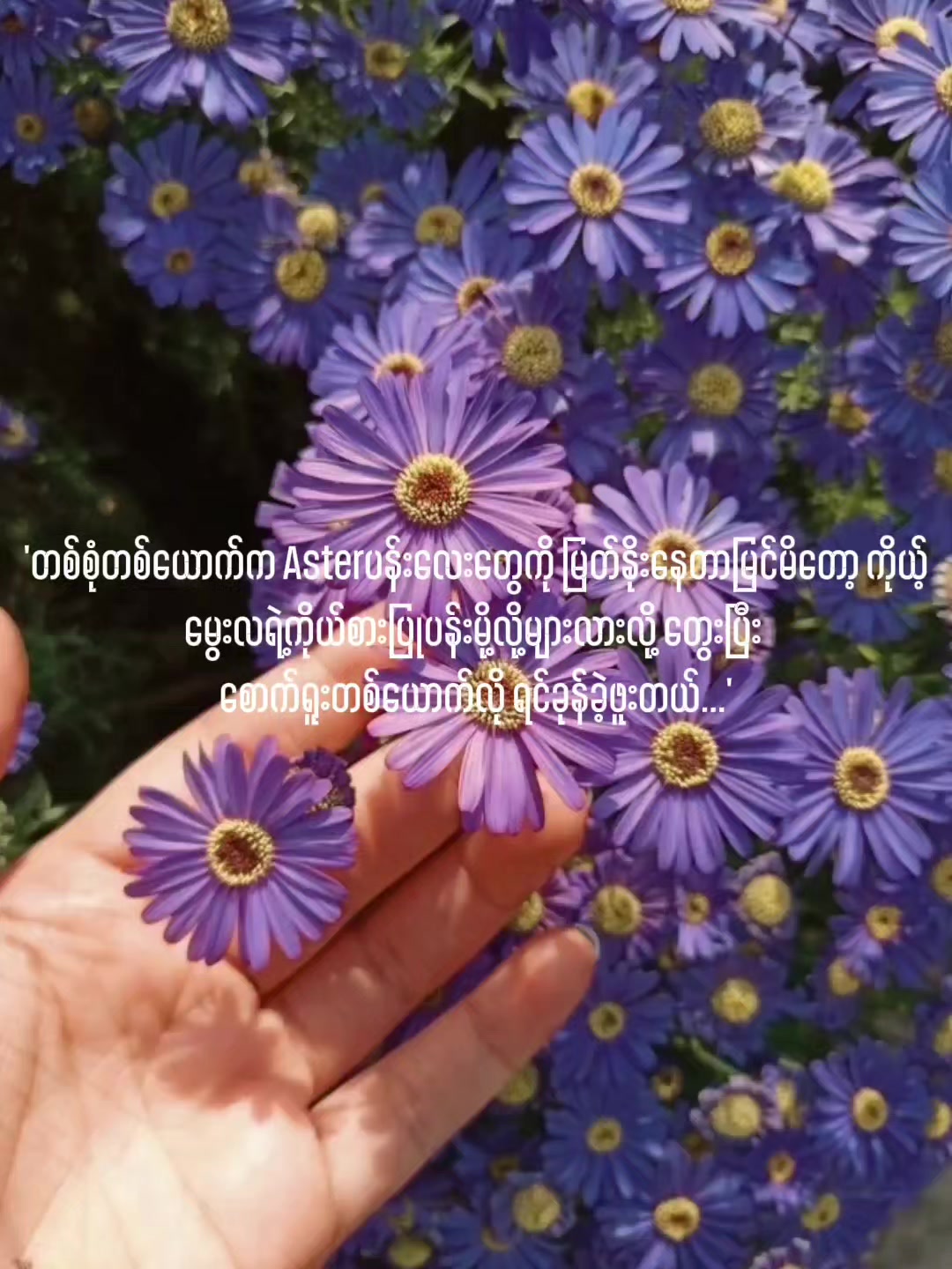 @ခို"Hyunwookကိုကုန်းပိုးပြေး☄️