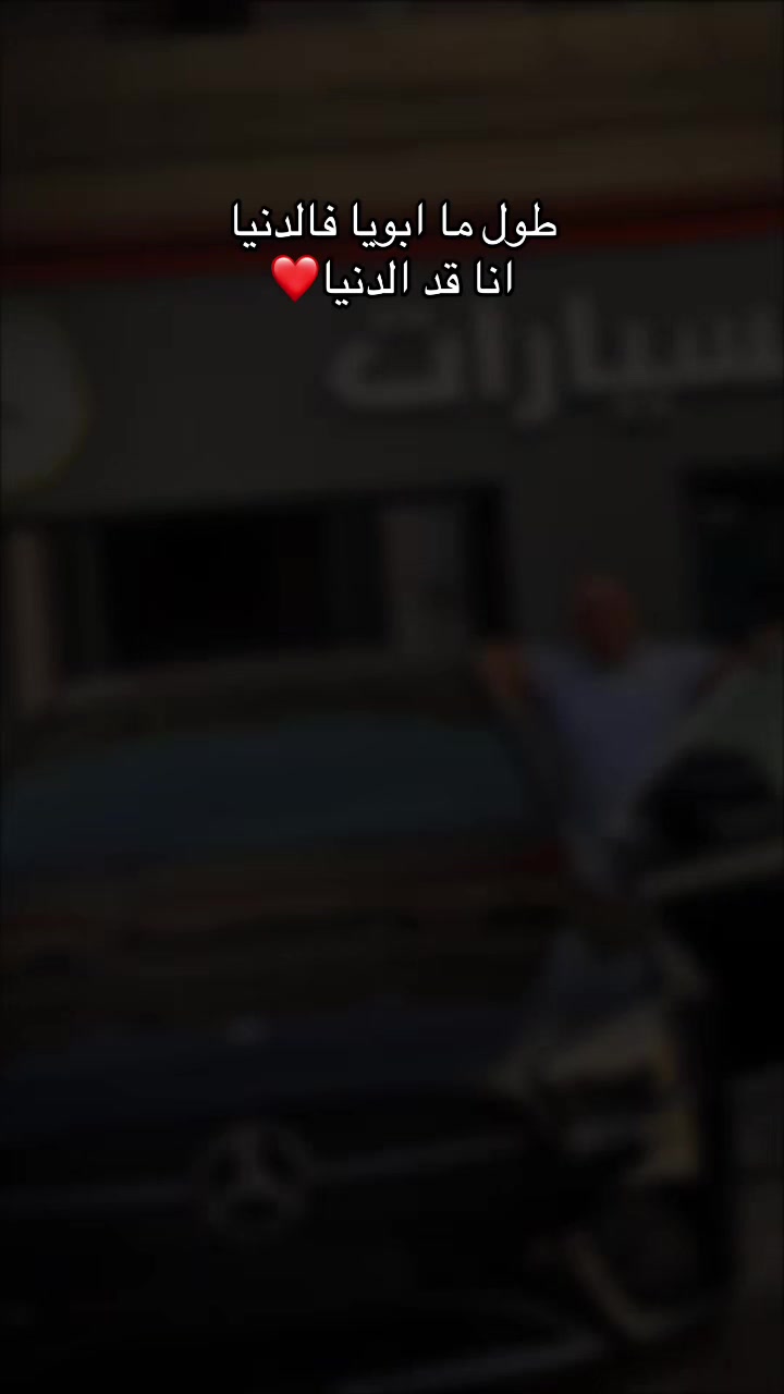 @【شرابيه🦁】