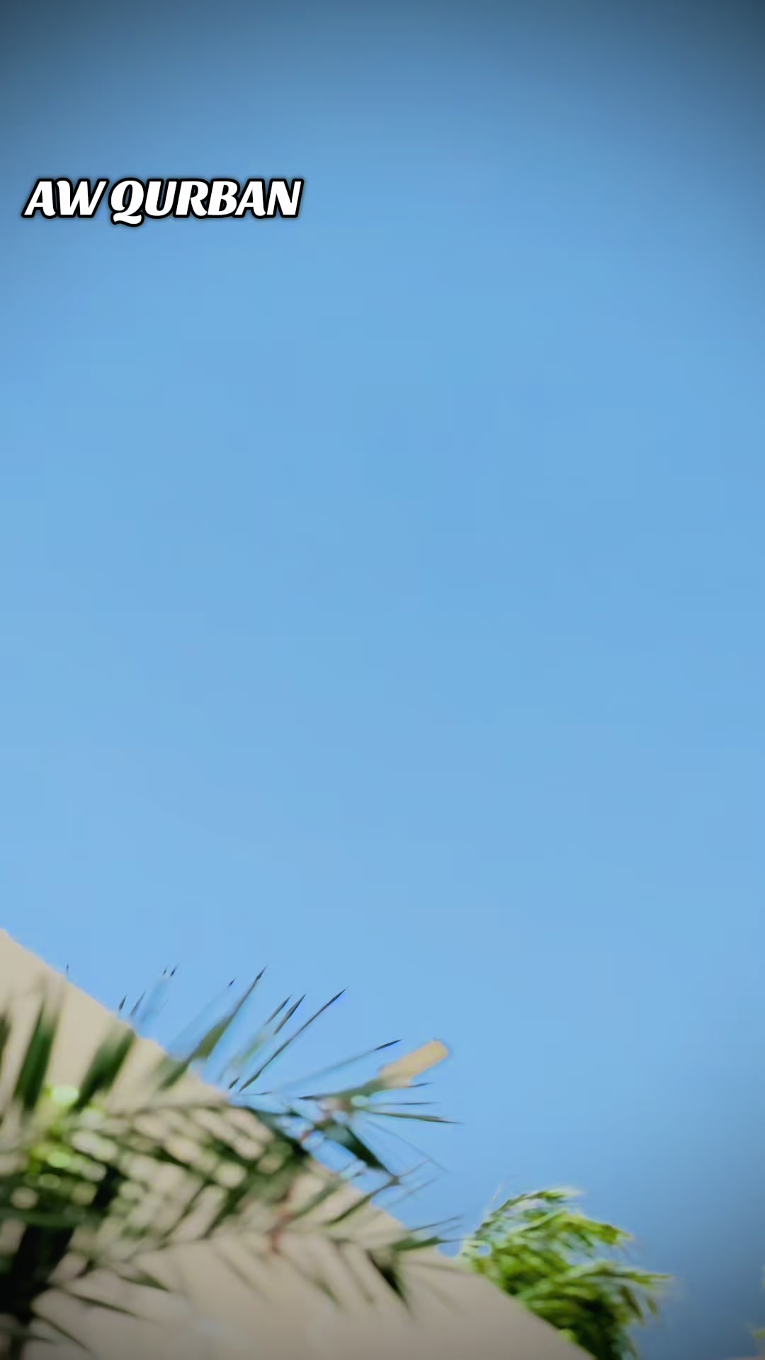 @🇬🇶 𝐀𝐊 𝐒𝐀𝐇𝐀𝐁 907🇬🇶