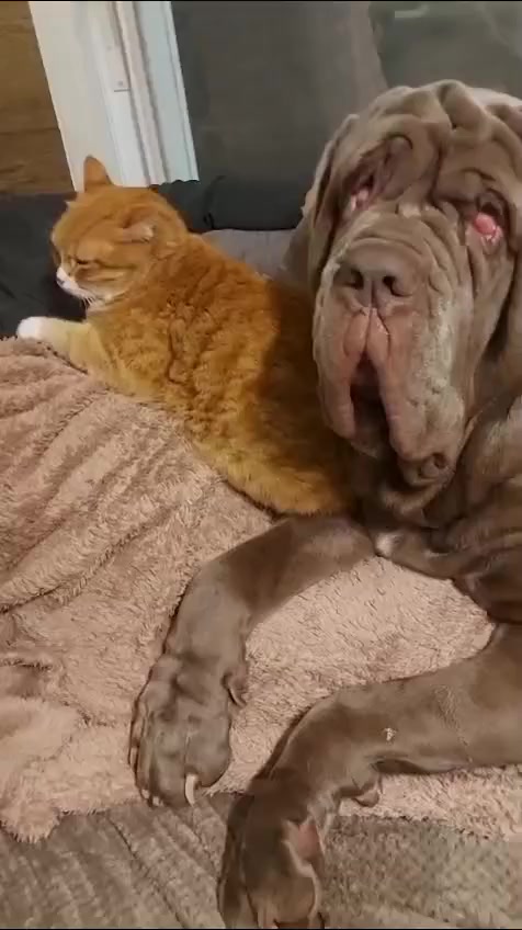 @Владимир