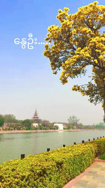 @Myo Aung