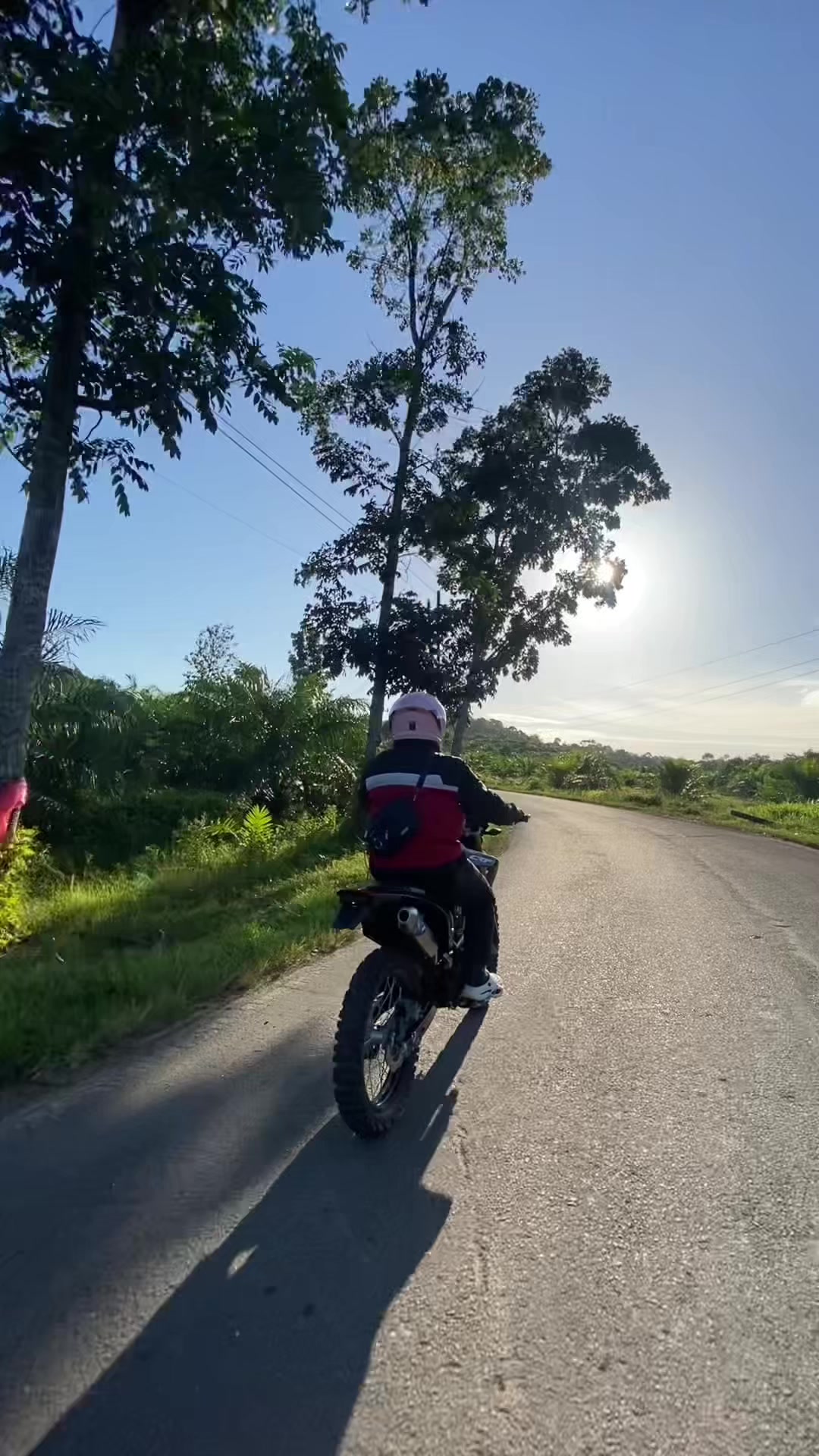 @Wandi Arjuna🤫
